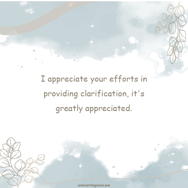 Catchy Thank You for the Clarification Messages Sample