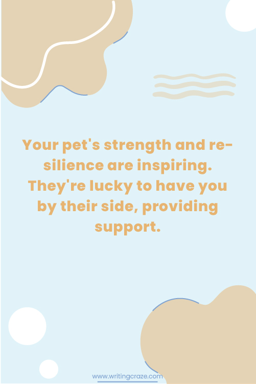 Positive Words of Encouragement for a Sick Pet