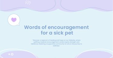 Words of Encouragement for a Sick Pet